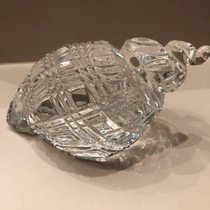 Waterford Conch Sea Shell